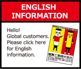 ENGLISH INFORMATION